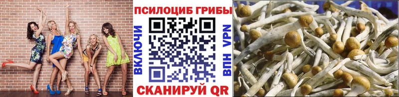 Псилоцибиновые грибы Psilocybe  продажа наркотиков  Дюртюли 