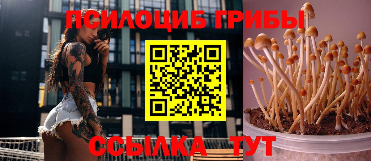 Дюртюли  Галлюциногенные грибы мухоморы  Вход с VPN 